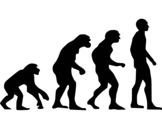 შეიძლება თუ არა მართლმადიდებელი იყოს ევოლუციონისტი?